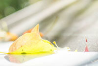 同时继续提 同时继续提