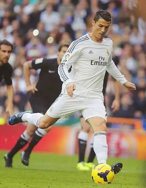 了更多的资 了更多的资