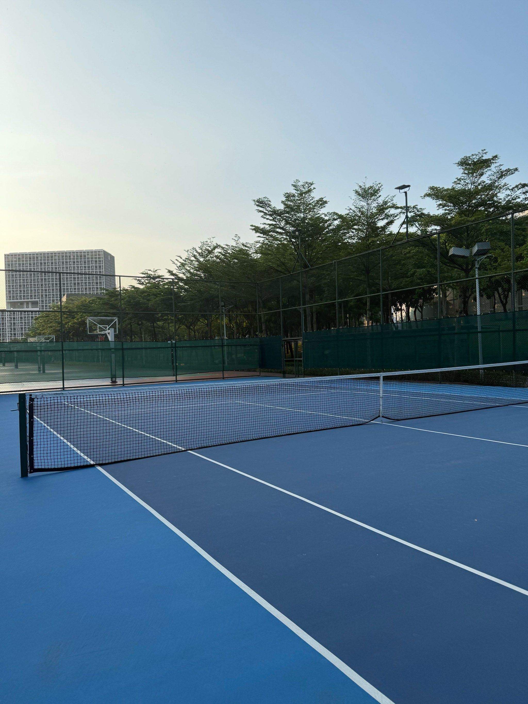 索托赛季上 索托赛季上